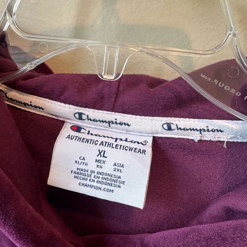 Champion Hoodie - Picture 5 of 14